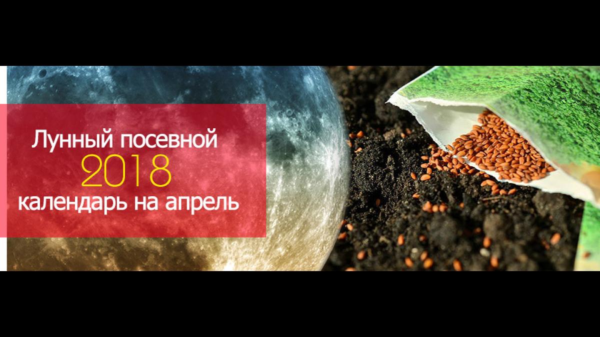 Посевной лунный календарь садовода и огородника на апрель 2018 года Посевной лунный календарь садовода и огородника на апрель 2018 года