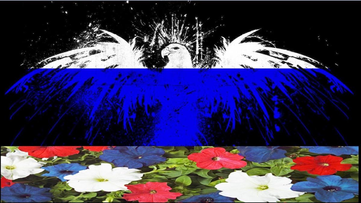 Патриотичные видеопоздравления с Днем России 12 июня 2018: красивые песни ко Дню независимости России Патриотичные видеопоздравления с Днем России 12 июня 2018: красивые песни ко Дню независимости России