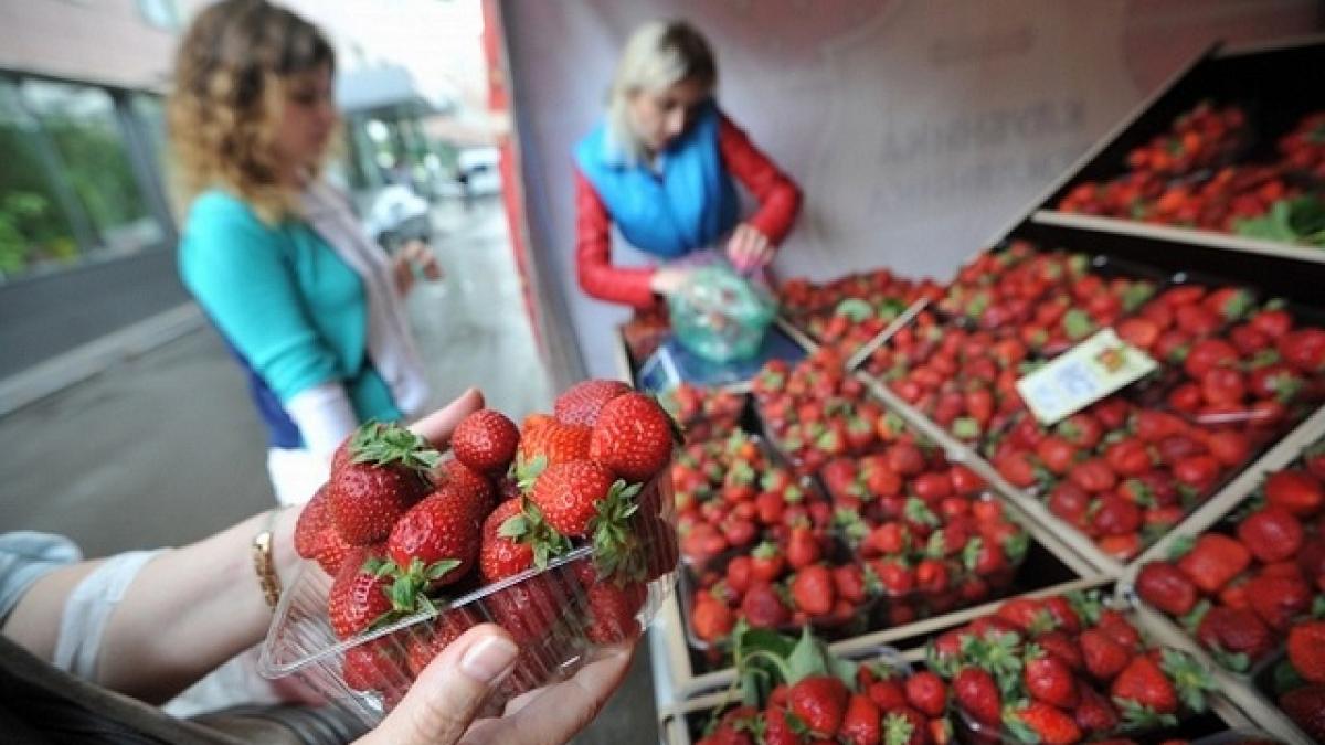 Ранняя клубника Как правильно выбрать раннюю клубнику, объяснили эксперты