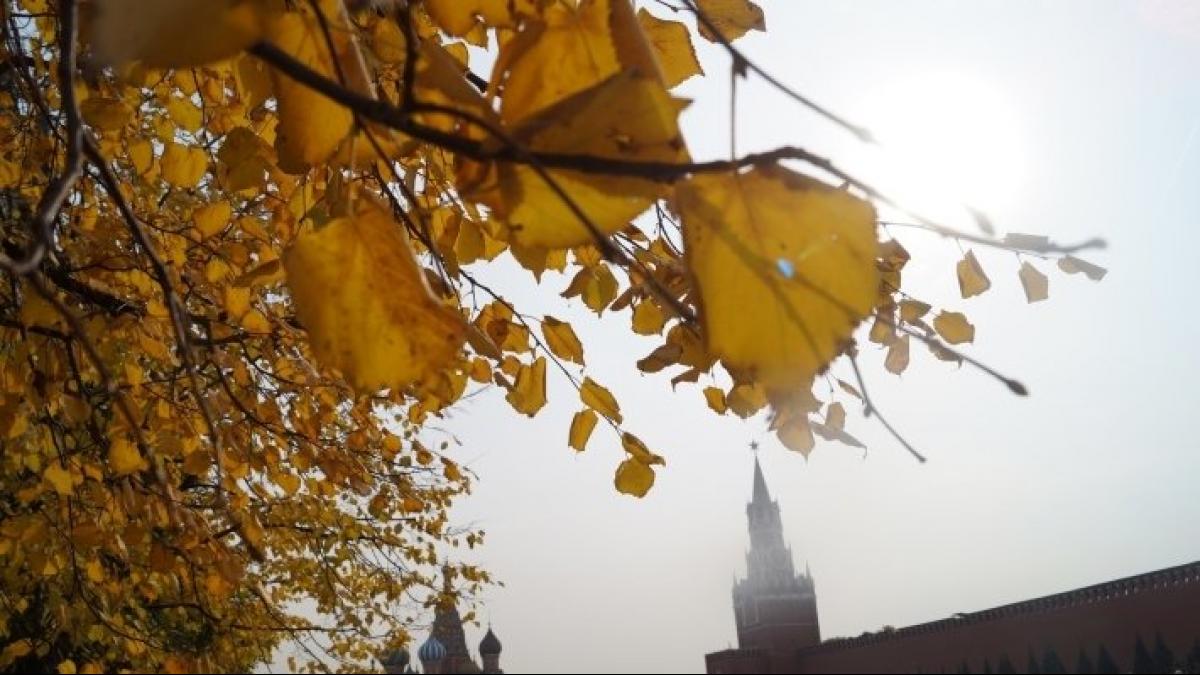 жителей Москвы предупредили о предстоящих заморозках Грядут холода: жителей Москвы предупредили о предстоящих заморозках