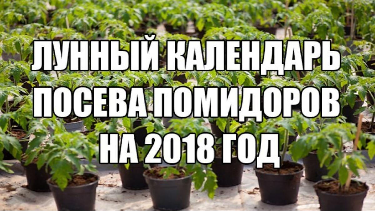 Благоприятные дни для посадки помидор на рассаду в марте 2018 года: таблица лунного календаря Благоприятные дни для посадки помидор на рассаду в марте 2018 года: таблица лунного календаря