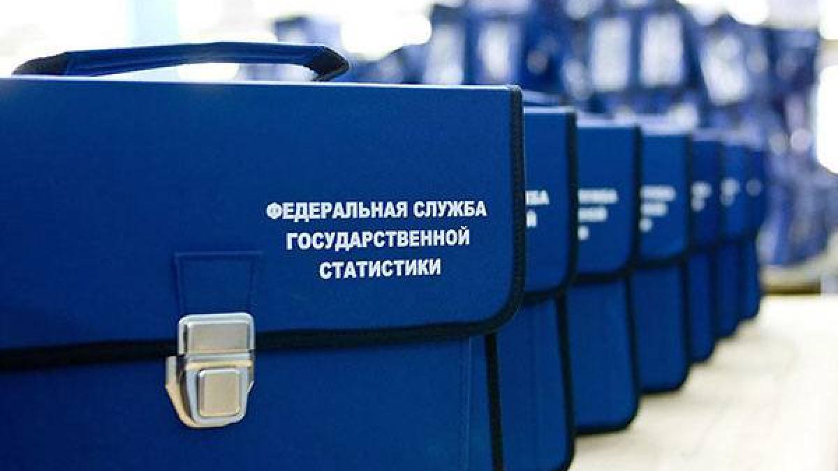 Сюрпризы в системе переписи населения повысят активность россиян Перепись населения