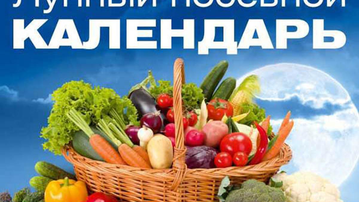 Лунный посевной календарь для садоводов и огородников на май 2017 Лунный посевной календарь для садоводов и огородников на май 2017: таблица посадки рассады и семян