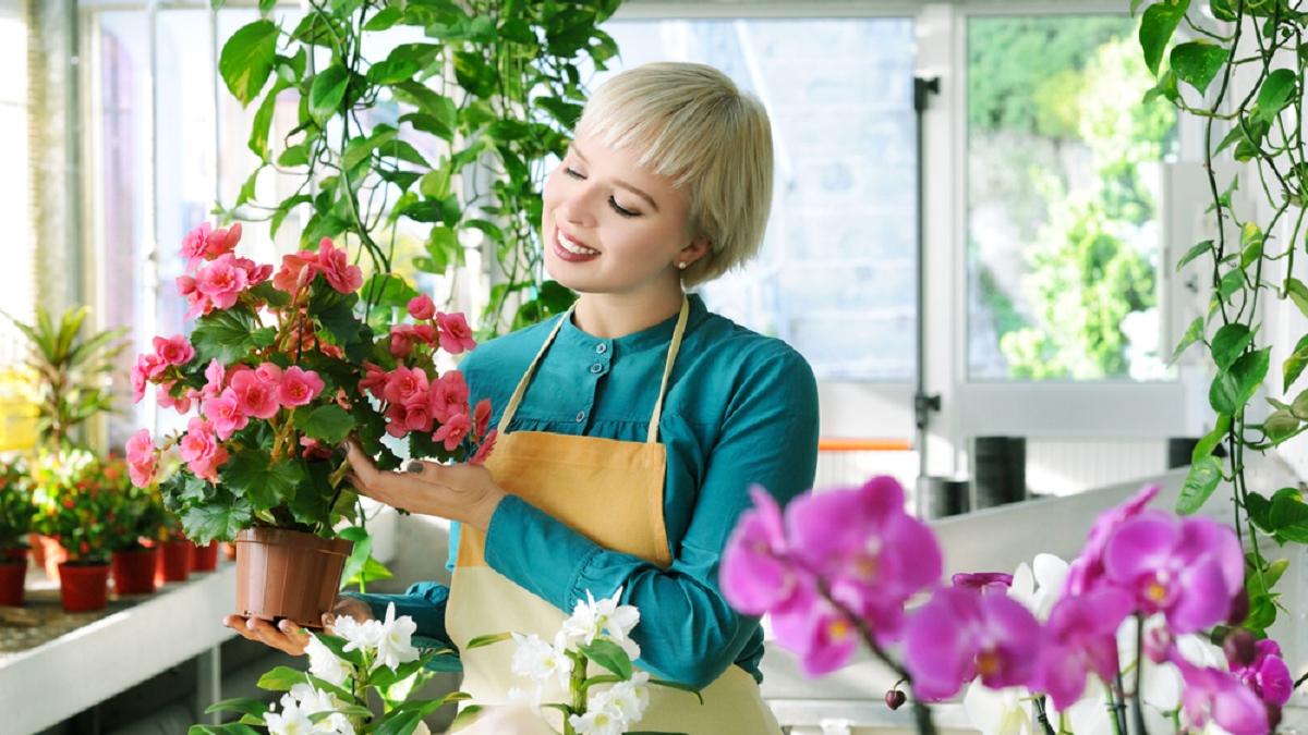Комнатные цветы по знаку Зодиака, которые притянут счастье, успех и материальное благополучие Комнатные цветы по знаку Зодиака, которые притянут счастье, успех и материальное благополучие