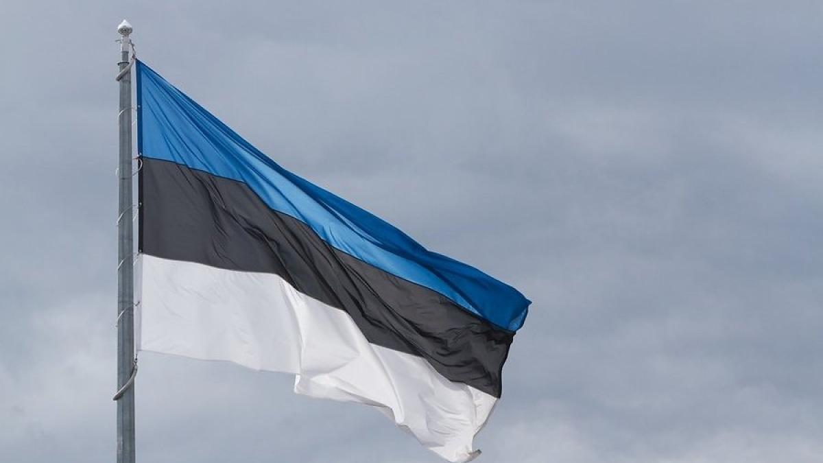 Действия Эстонии возмутили Москву: Россия предупредила Таллин о «резкой посадке» Захарова резко отреагировала на попытки Эстонии замять убийство россиянина