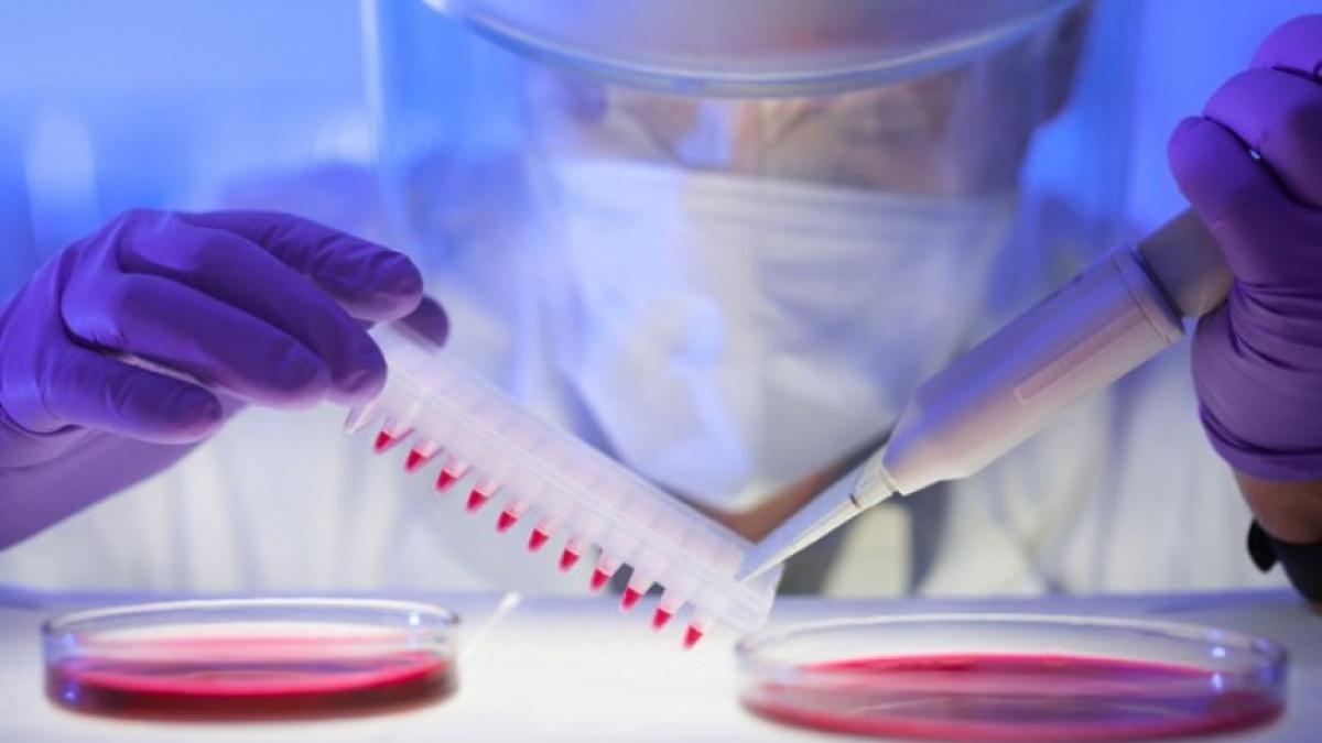 По Европе распространяется опасный вирус, не имеющий вакцины Опасный вирус, не имеющий вакцины, распространяется по Европе