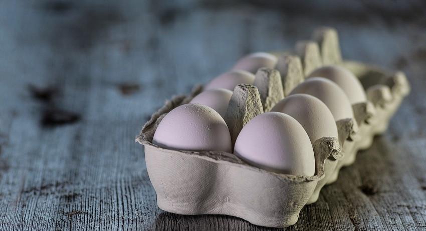 Производитель объяснил, откуда взялись «девятки» яиц в магазинах России