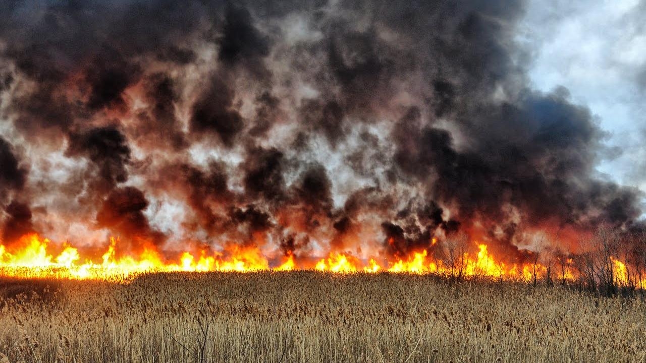 Поверхностный пожар. Степные пожары. Поле горит. Полевые пожары. Ландшафтный природный пожар.