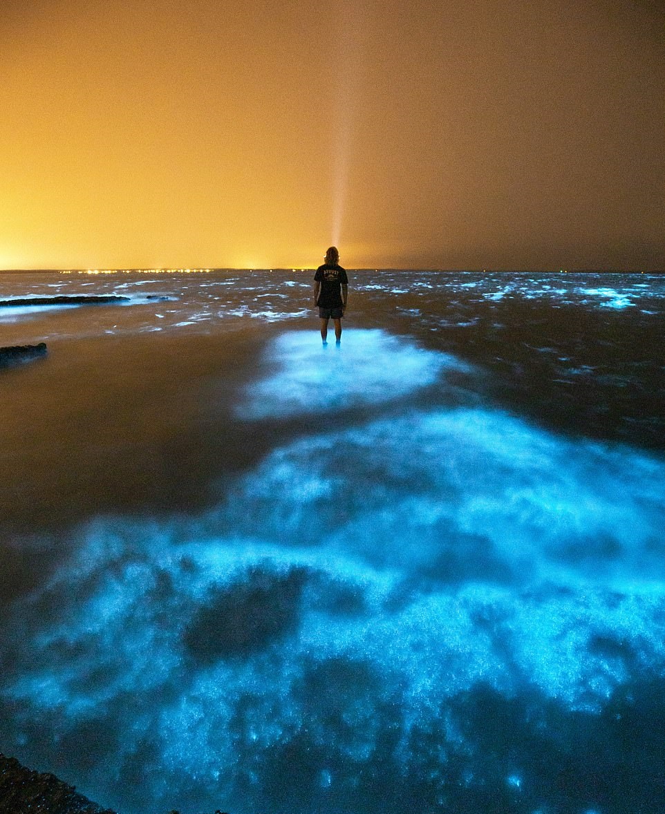 Мистически красиво, но объясняется научно: море горит «синим пламенем»