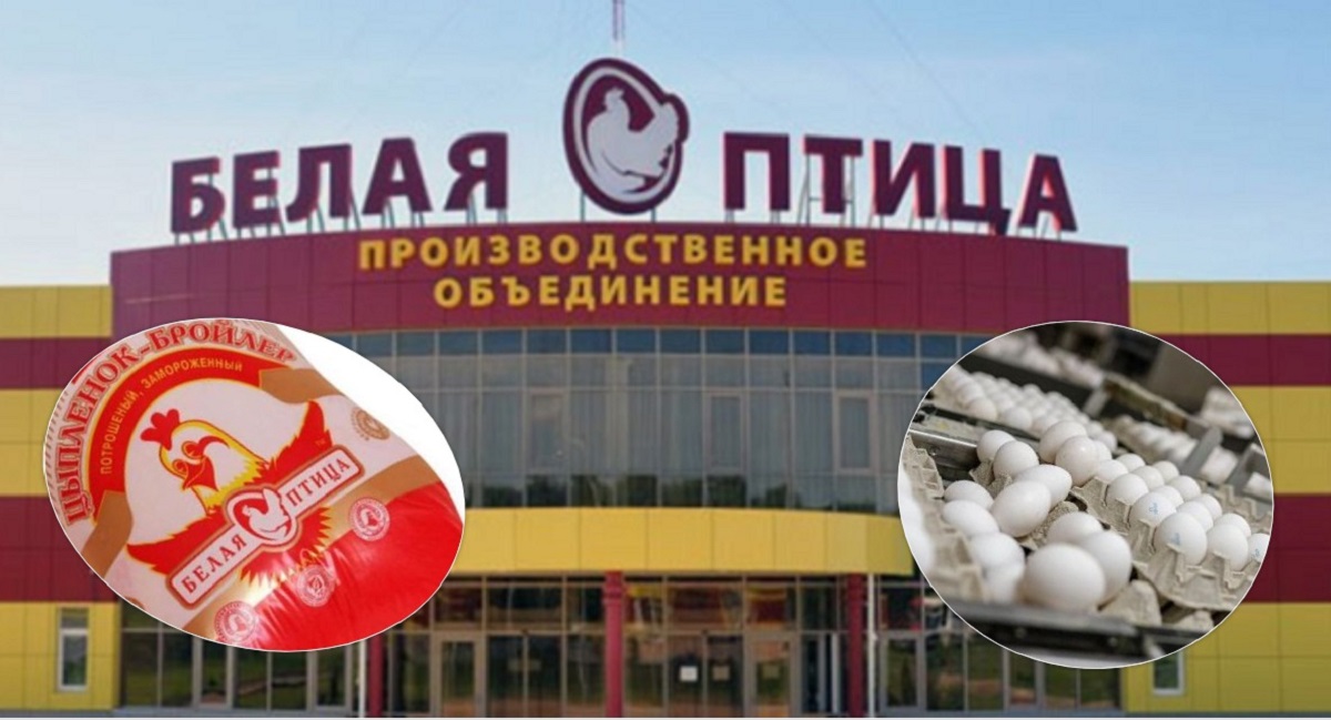 Шоколад белая птица. Белая птица завод. Белая птица организация Белгород. Белая птица Издательство