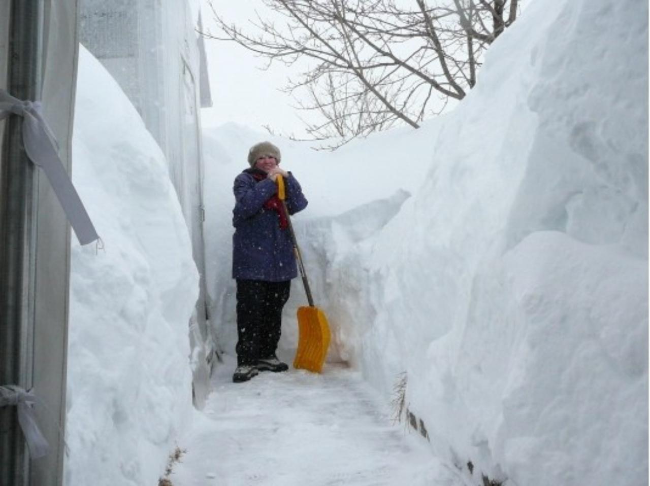 Сосед кидает снег. Завалило снегом. Сугробы в Сибири. Большое количество снега. Завалы снега.