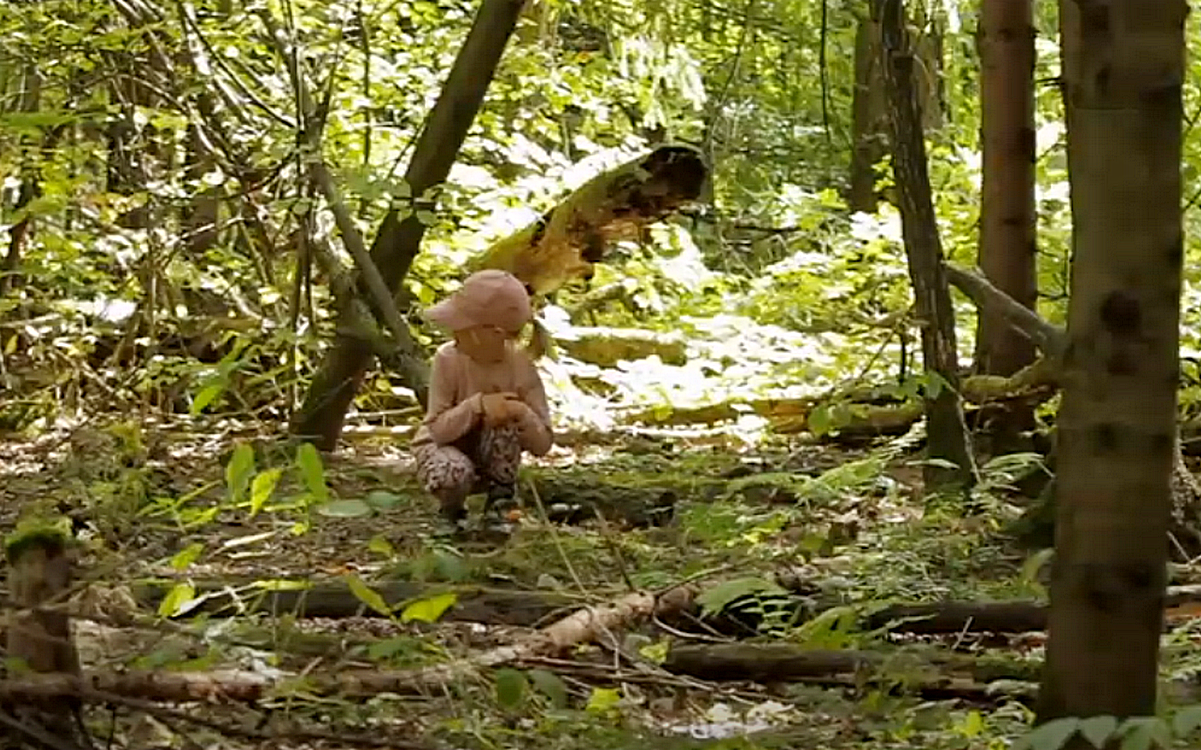 Нашли в лесу малыша. Малыш который затерялся в лесу. Ролики в лесу. Случай который случился в лесу.