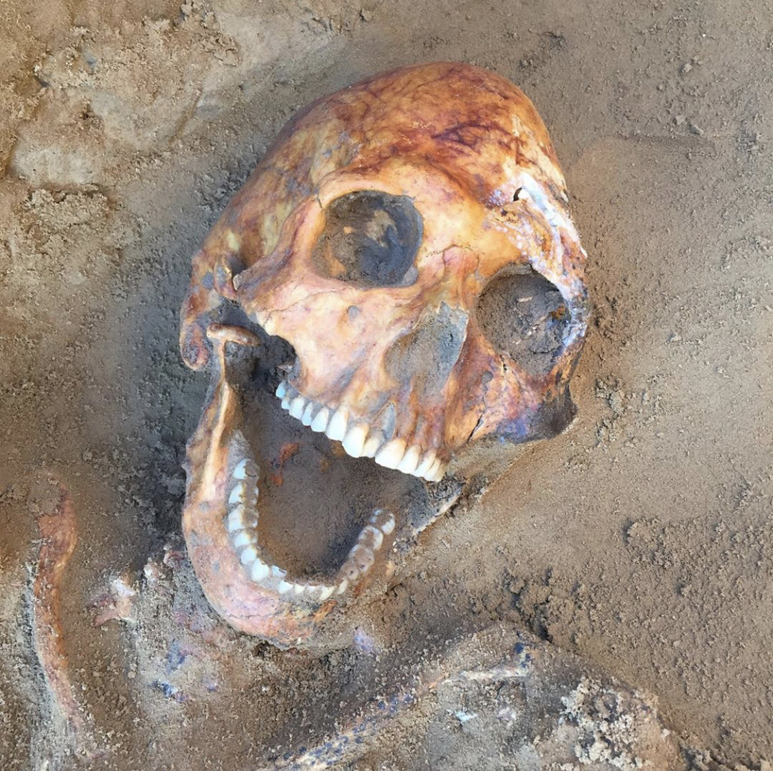 В Астрахани археологи раскопали могилу возрастом 4 тыс. лет до н. э. 