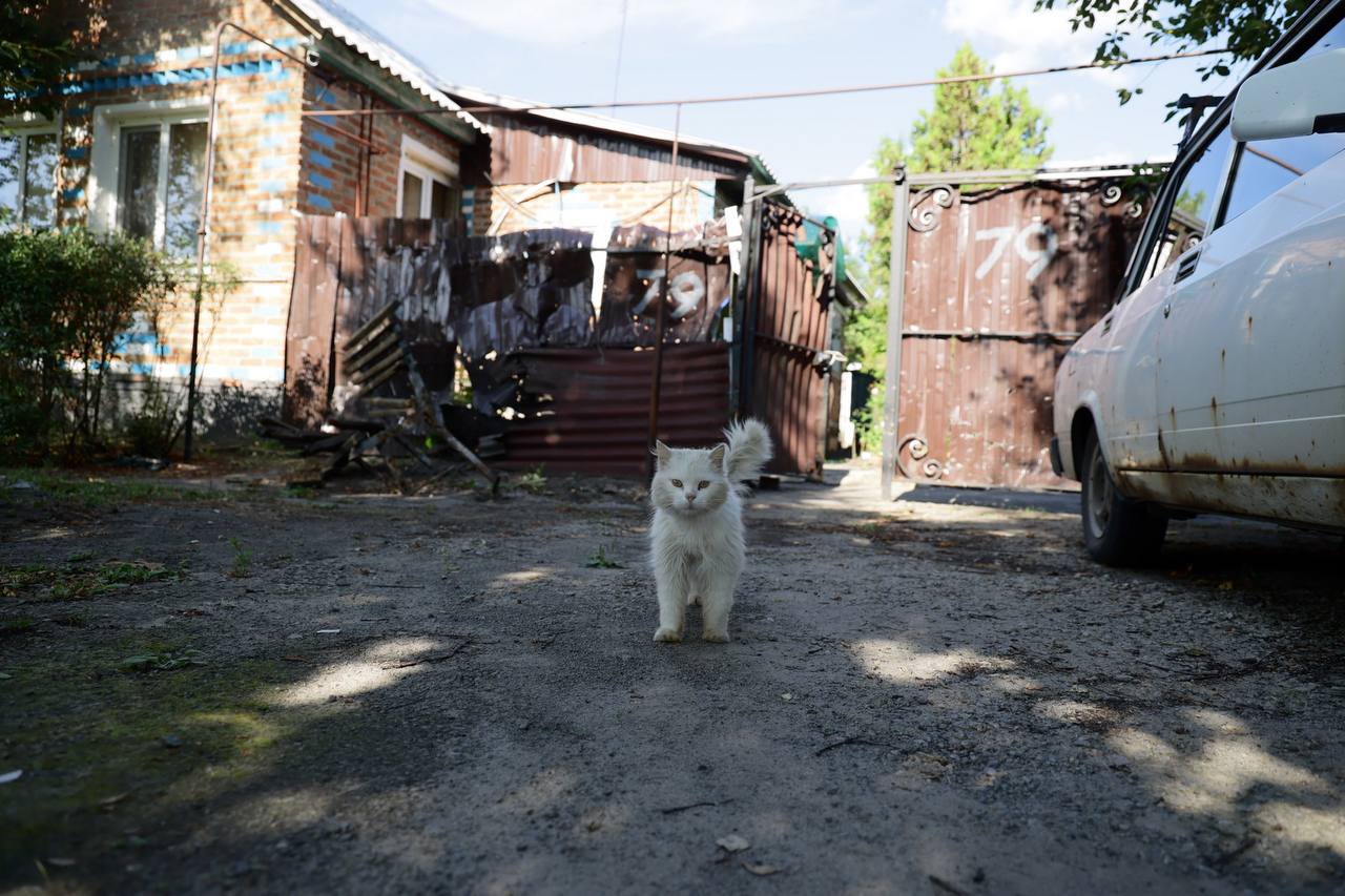 Гладков губернатор фото