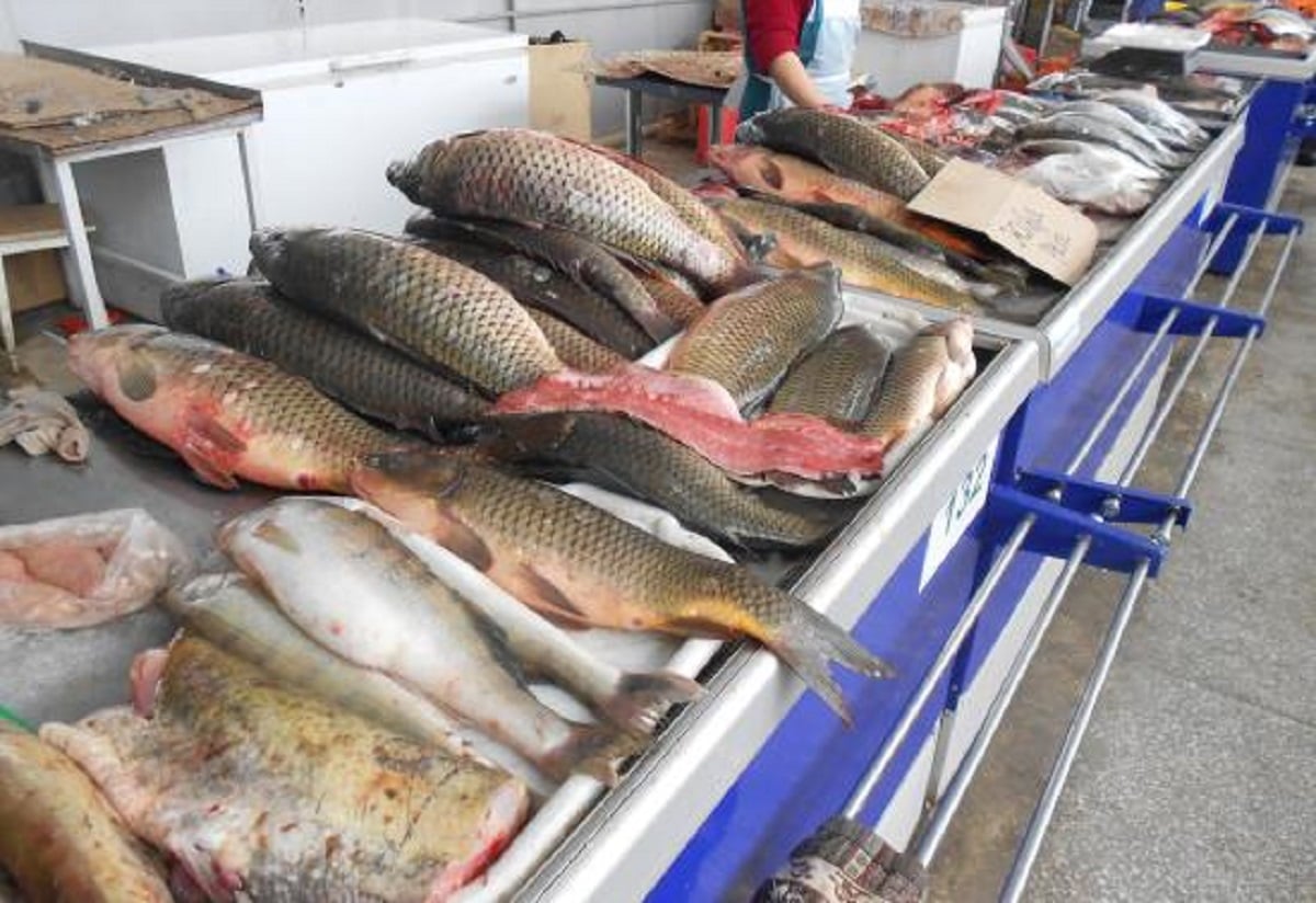 Рыбный прилавок. Рыба на рынке. Рыба на прилавке. Ветеринарно-санитарная экспертиза рыбы. Купить свежую живую рыбу