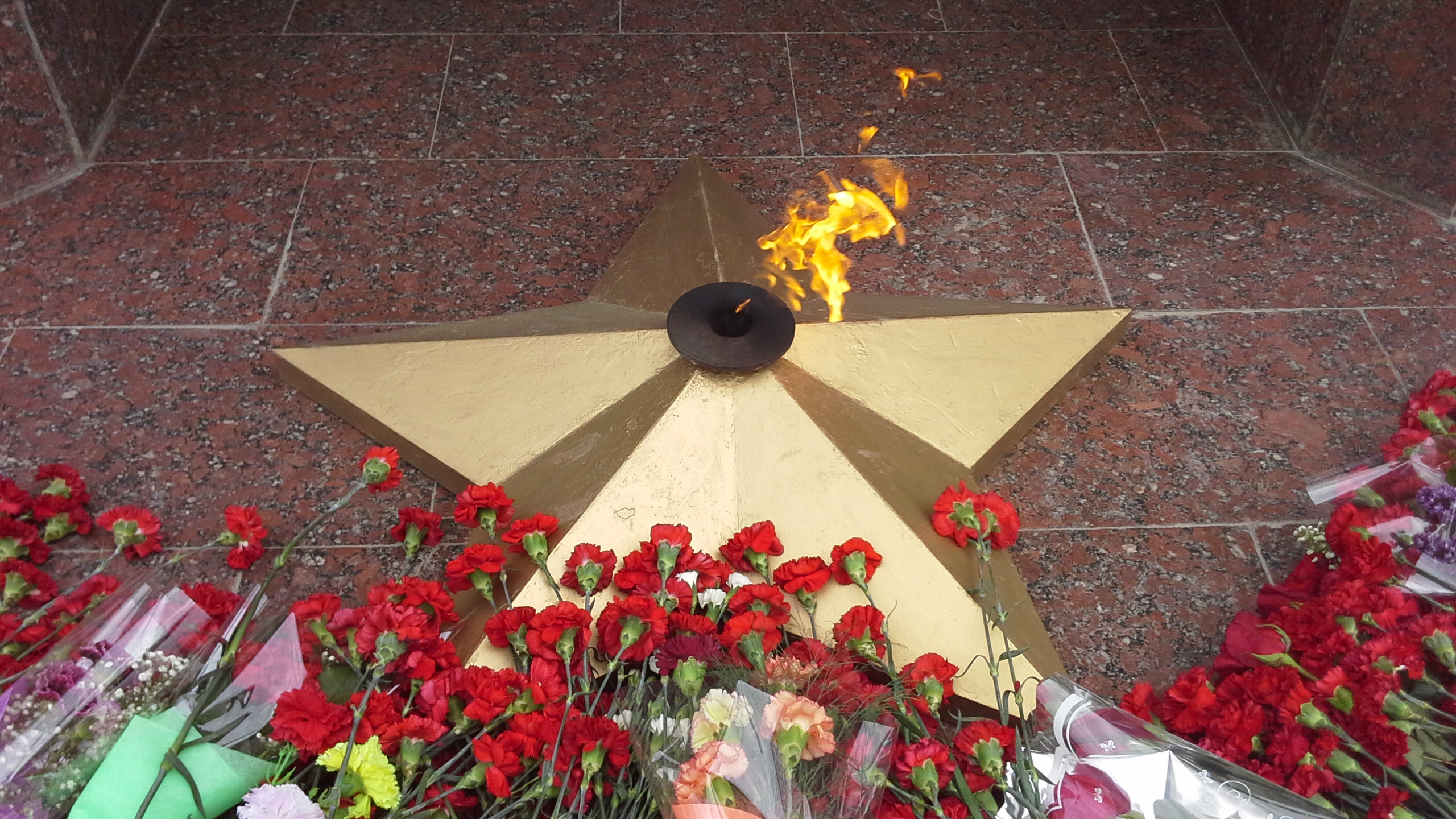 Неизвестный памятник несовершеннолетнему убийце. Украла цветы с мемориала. Сорвал цветы с клумбы. Трагедия в колледже 2018. Голубиное гнездо.