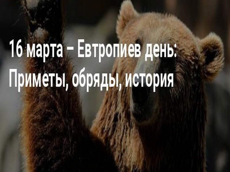 Евтропиев день. Народный праздник Евтропиев день. Евтропиев день картинки. Евтропиев день (Медвежье Пробуждение). Евтропиев день приметы.