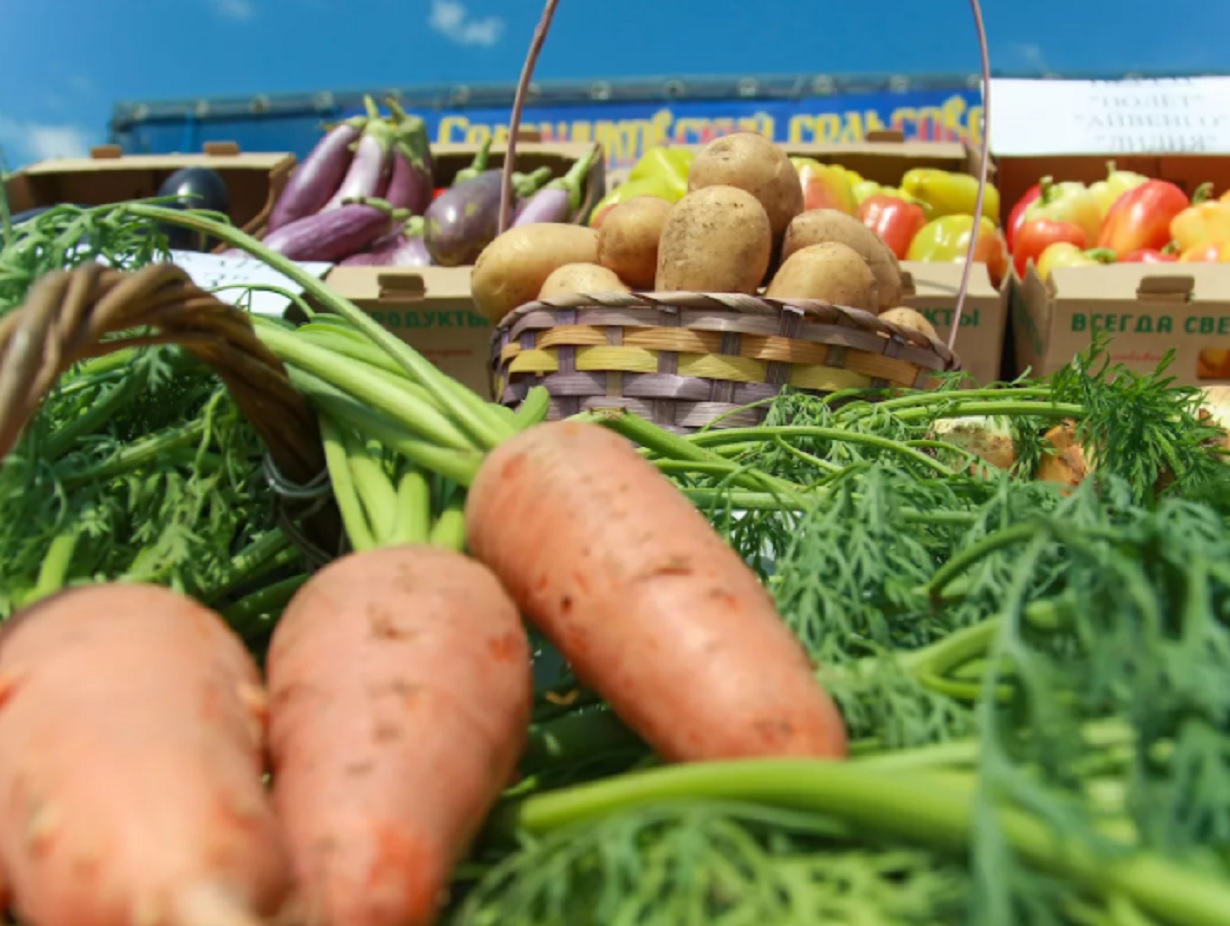 Овощеводство. Сельское хозяйство овощеводство. Продукты растениеводства. Овощеводство в Крыму. Овощеводство и бахчеводство.