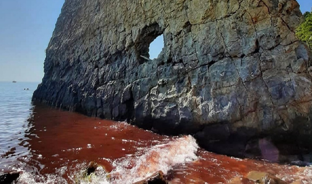 Скала Парус черное море Геленджик