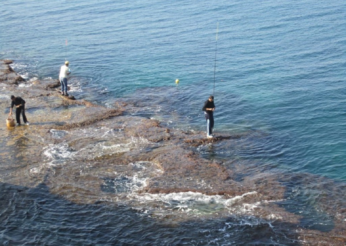Черноморская рыба на спиннинг. Что можно ловить на черном море. Снасть для морской рыбалки с пирса. Рыбалка на чёрном море с лодки. Смарида рыба.