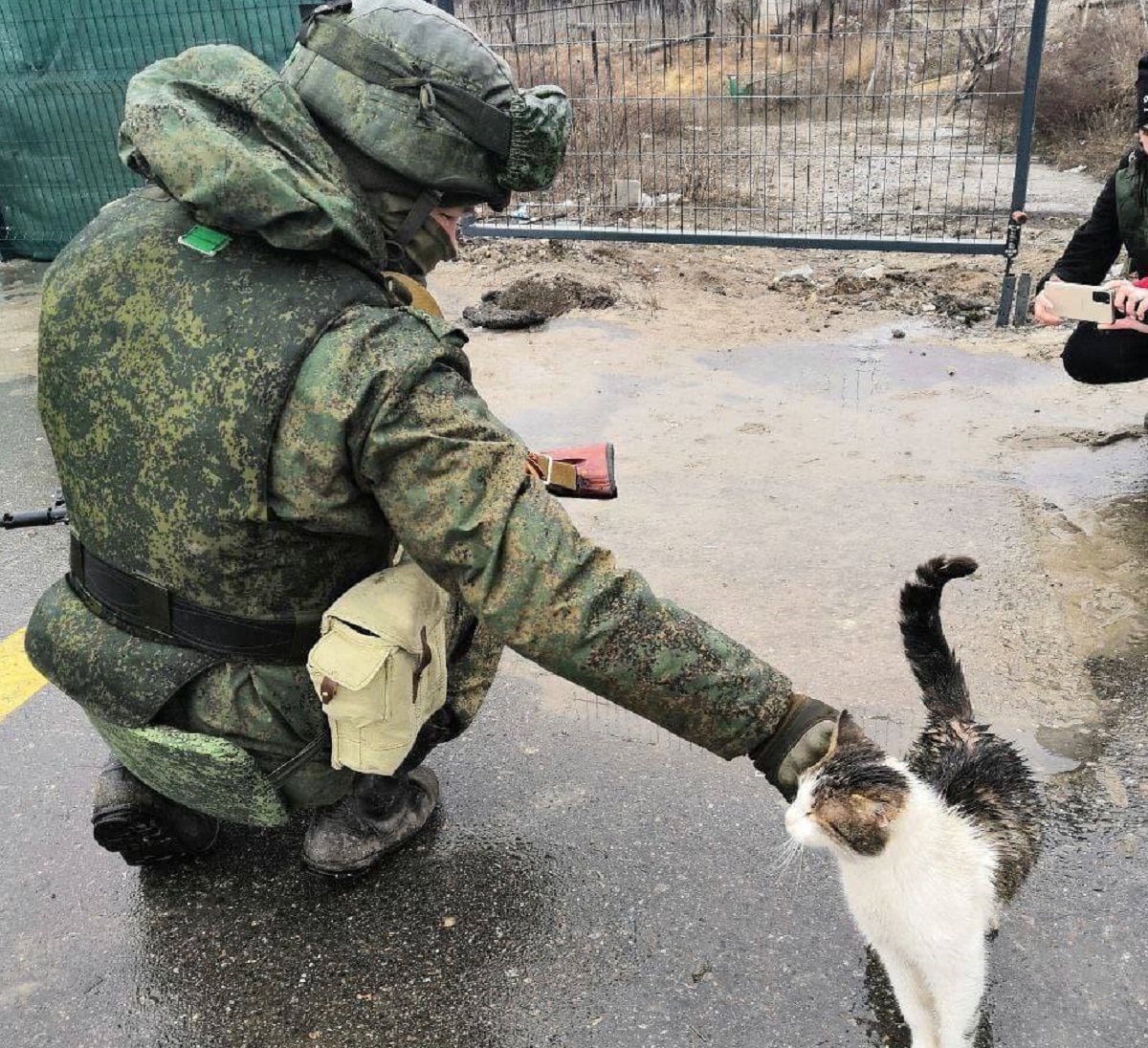 Кот на украинском