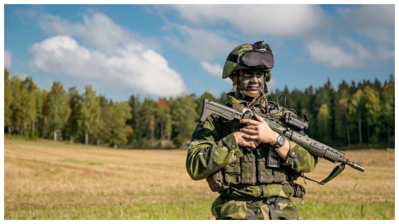 вооруженные силы швеции