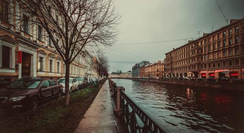 В Санкт-Петербурге возбуждено уголовное дело об убийстве