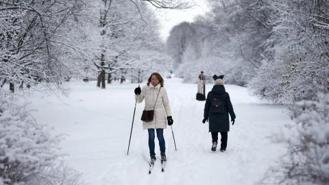 Зима лес женщина лыжи