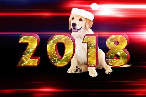 Китайский Новый год Желтой Собаки 2018: картинки, открытки с поздравлениями, пожелания Китайский Новый год Желтой Собаки 2018