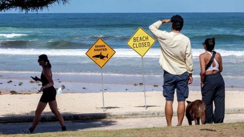 Австралия Сидней пляж посетители