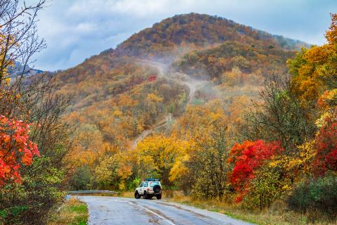 Погода в Крыму аномальное тепло