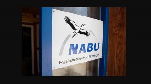 Экологи NABU