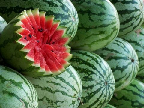 Астраханские селекционеры вывели арбузы разных цветов и вкусов