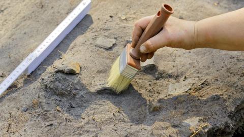 Археологи обнаружили в Дагестане останки человека, жившего несколько тысяч лет назад 