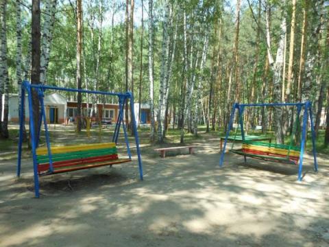 В Ростовской области родителей хотят судить за отдых детей в летнем лагере