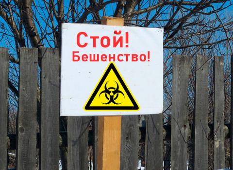 Бешенство карантин