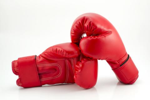 Всемирная боксерская организация освободила от санкций спортсменов из России