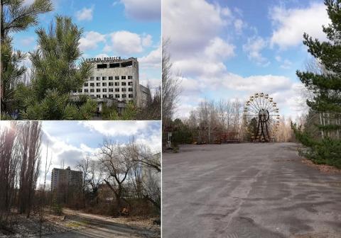 Чернобыль цветет буйным цветом: как зона отчуждения и Припять оживают