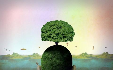 Психология несусветной глупости: 5 признаков «тяжелого» человека Психология несусветной глупости: 5 признаков «тяжелого» человека