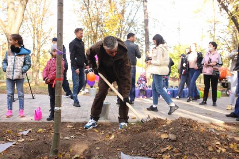 В Ростове заложили аллею деревьев на Дня отца