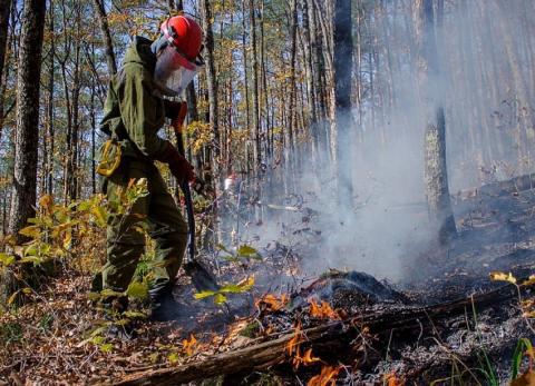 В лесах Кубани из-за пожаров ограничили нахождение людей