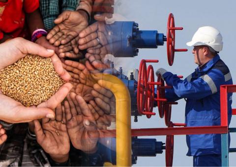 Газовый коллапс грозит всемирным голодом, и виновата Россия 