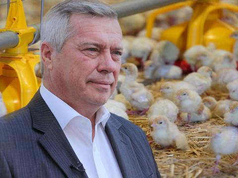 картинка Василий Голубев