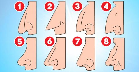 характер по форме носа легкий быстрый тест по картинке внешность человека 