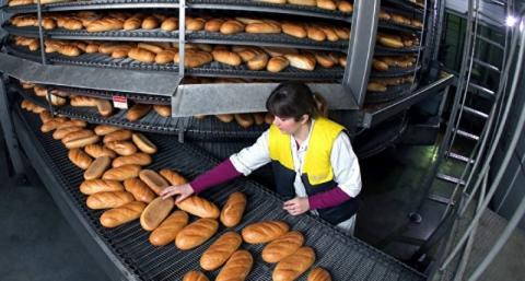 Общественники ЧР выяснили причину роста цен на хлеб