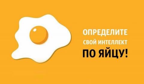 Тест в один клик: определи свой интеллект по яйцу!