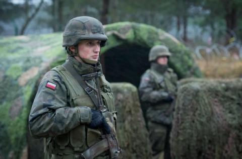Гундаров высказался об истинных целях наращивания Польшей военного контингента