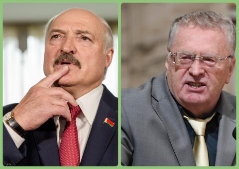 Лукашенко Жириновский
