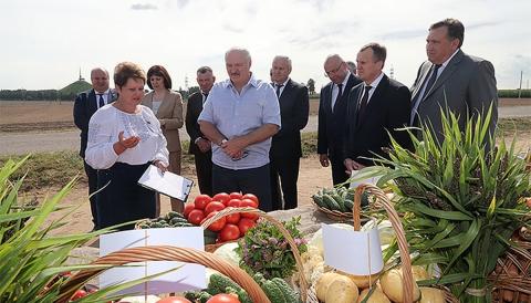 Лукашенко посоветовал белорусским производителям сахара поискать новых покупателей своей продукции