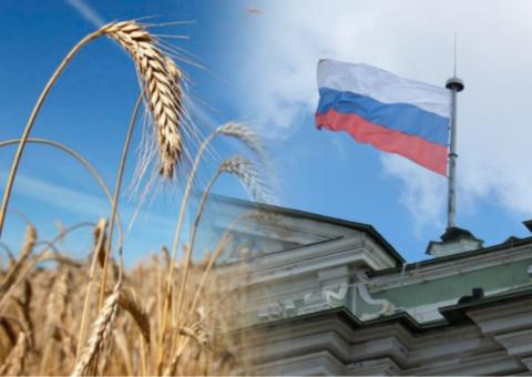 Планы России по пшенице